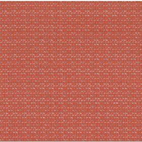 Fontelina 103 ORANGE